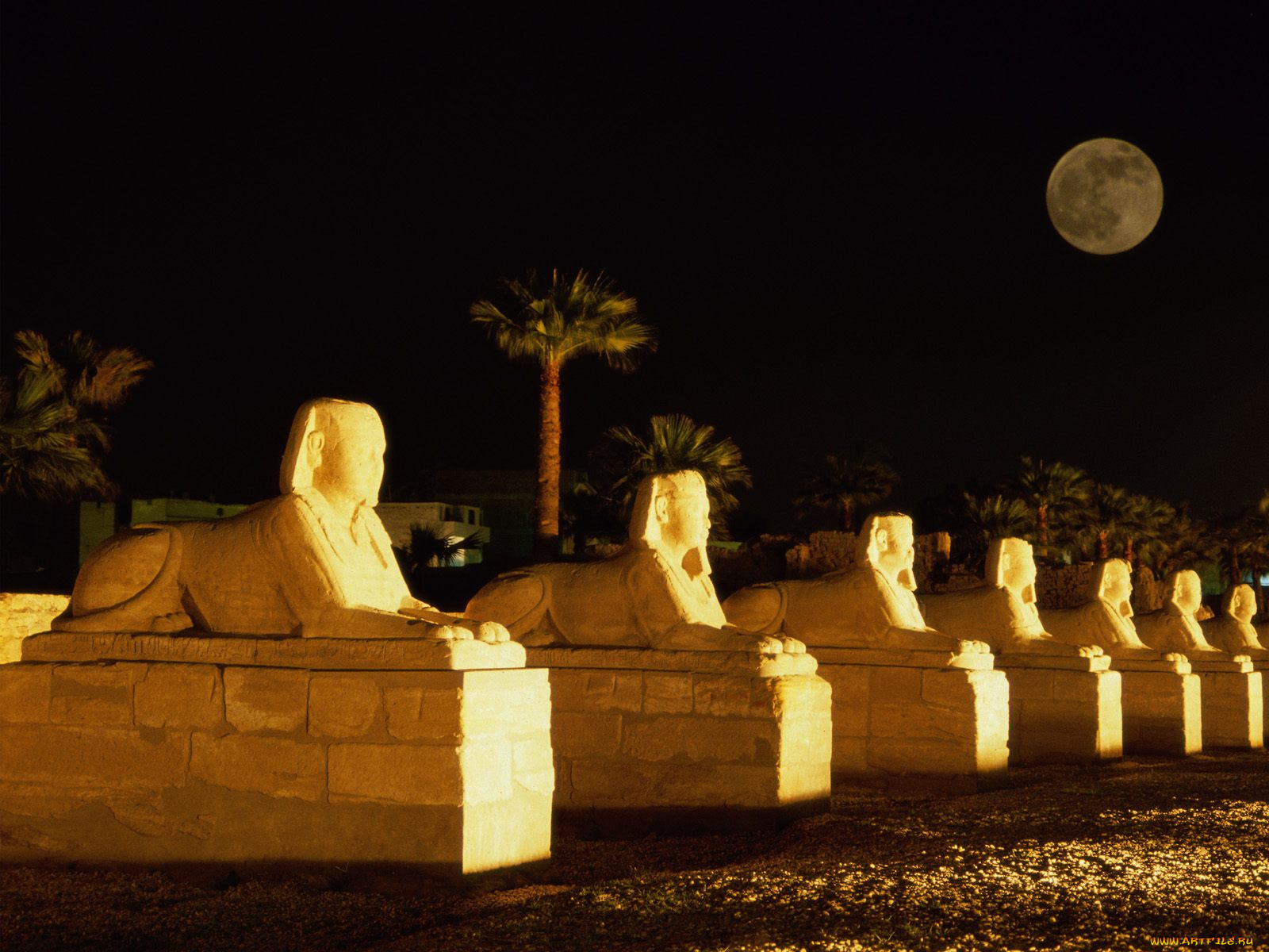 luxor, temple, egypt, 